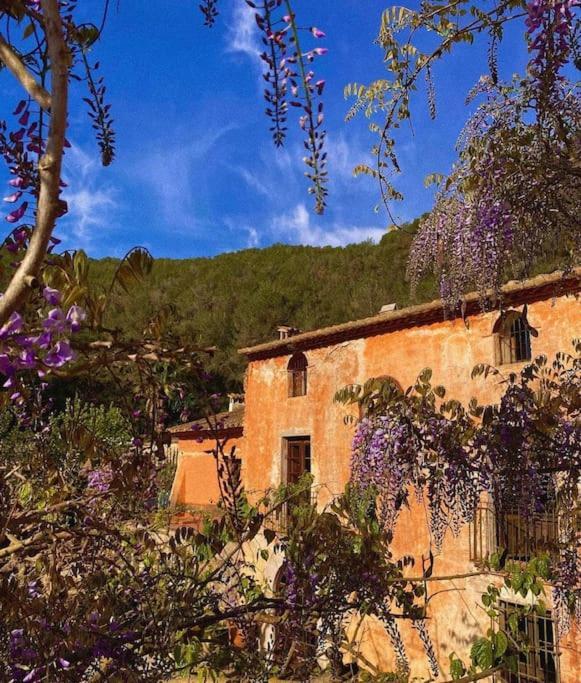 Villa Catalina Aka Villa Almanita Sant Pere De Ribes Kültér fotó